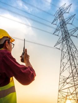 Petugas PLN Sedang Mengecek Jaringan